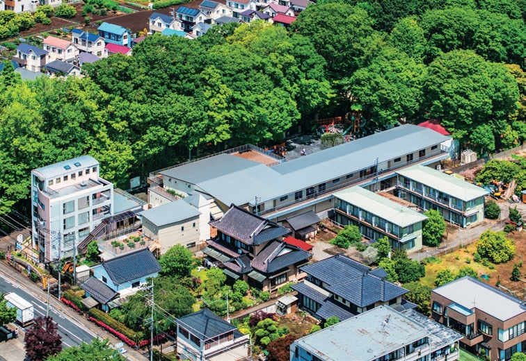 in the natural environment