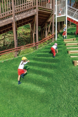 Grass Stairs