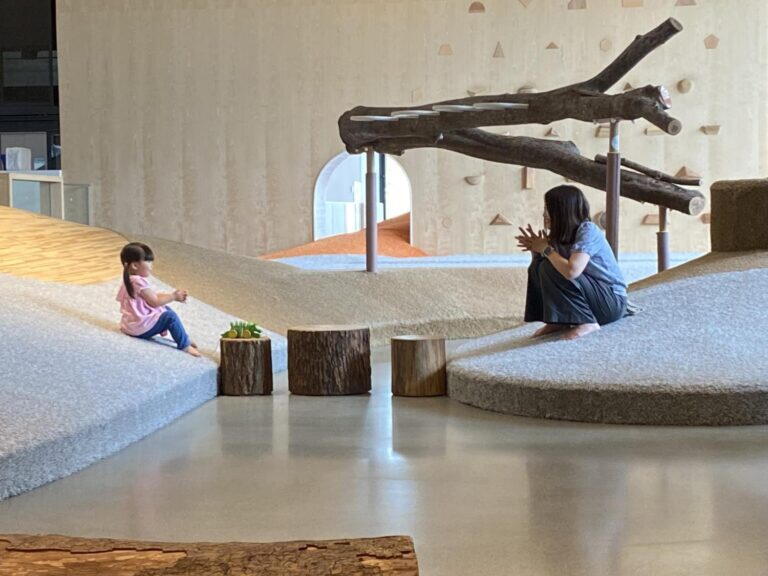 脳科学からみる、幸せとあそびの関係性/ 瀧 靖之教授