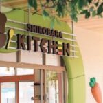 shirabara-kindergarten-osaka