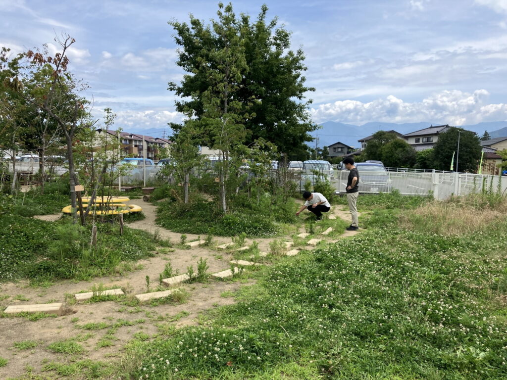 Picking Flowers